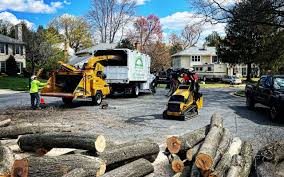 Best Lawn Grading and Leveling  in La Vale, MD