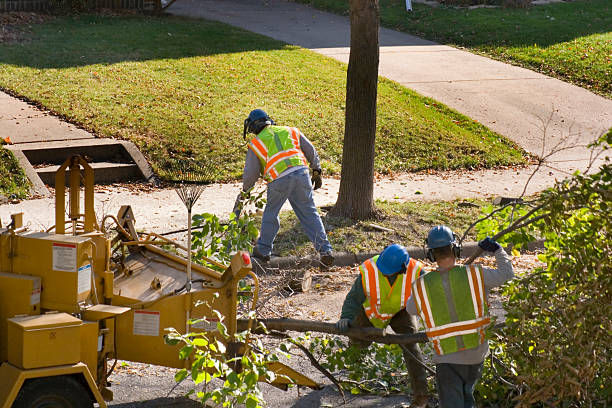 Best Utility Line Clearance  in La Vale, MD